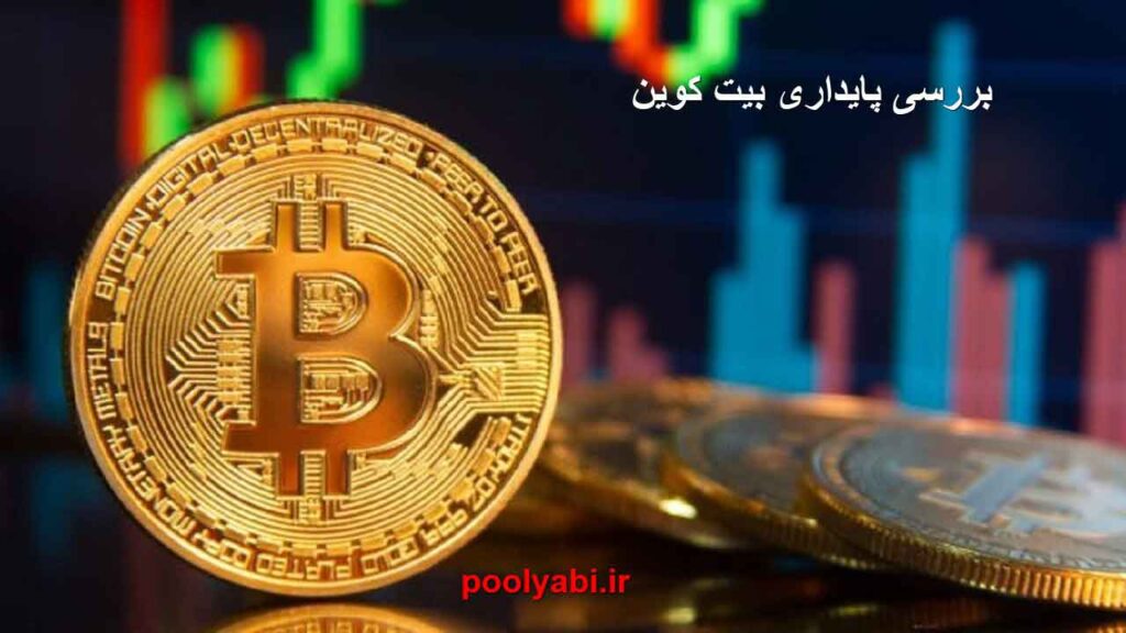 پایداری بیت کوین ، نوسانات بیت کوین ، قیمت بیت کوین ، بررسی بیت کوین ، روز بیت کوین پیتزا ، معرفی بیت کوین