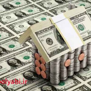 بهترین سرمایه گذاری در این اوضاع ,