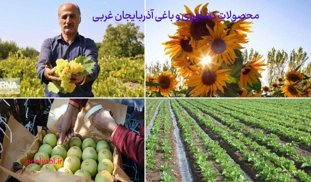 کشاورزی، باغداری و صنایع تبدیلی و فرآوری محصولات کشاورزی در آذربایجان غربی