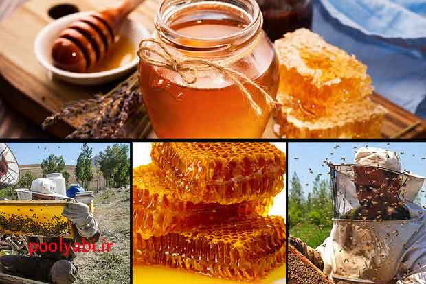 تولید عسل و فروش اینترنتی محصولات محلی آذربایجان غربی