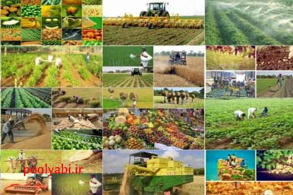 ایده‌های روستایی و کشاورزی برای ایجاد درآمد از محصولات باغی و تولیدات محلی قزوین